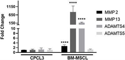 Stable human cartilage progenitor cell line stimulates healing of meniscal tears and attenuates post-traumatic osteoarthritis